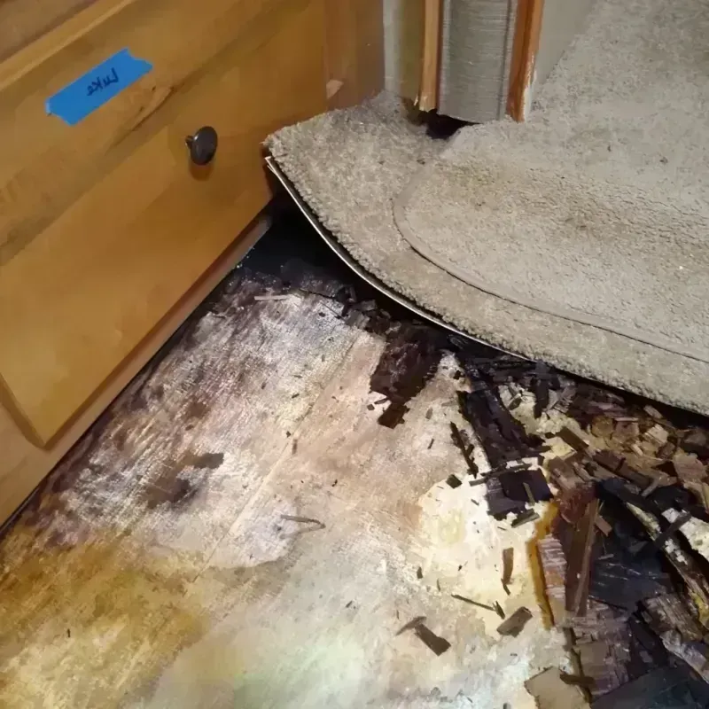 Wood Floor Water Damage in New South Memphis, TN